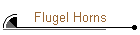 Flugel Horns